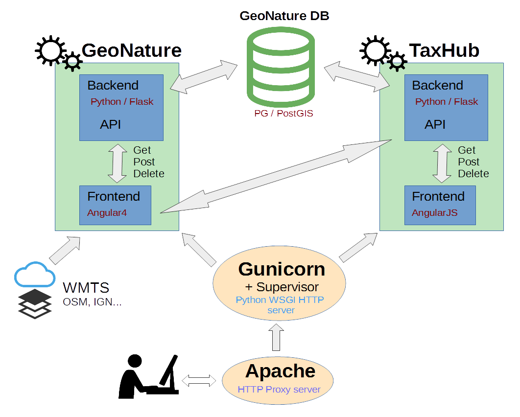 План обучения python backend